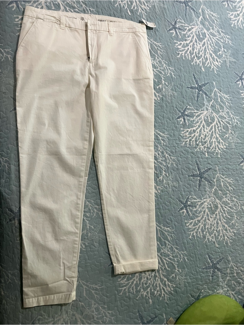 Khakis by GAP woman size 10 NWT